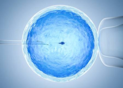 泰国三代试管省钱秘诀，完整费用明细供参考