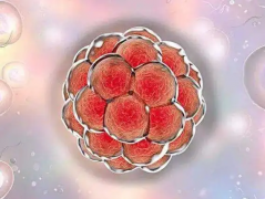 重庆三代试管多少钱？大约5-10万左右