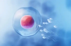 成都三代试管价格详情，一般5-10万可以搞定