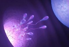 天津供精试管申请指南：这些条件你满足了吗？