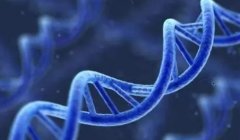 上海供卵试管费用知多少？一篇文章带你了解！