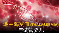 地中海贫血患者如何选择适合的试管代数？身体情况评估与最安全方案解析！