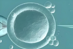 陕西三代试管医院生'男'孩费用详解：成功率与费用如何平衡？