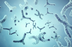 沈阳三代试管价格较高，想省钱看这里！