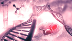 石家庄三代试管新风向：优质医院名单与费用详解，精准助力试管之路