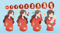 深圳二代试管费用全解析：了解大概花费，为您的生育计划做好预算准