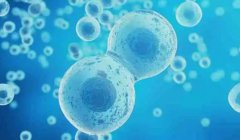 深圳供精人工授精：科学助孕的流程揭秘