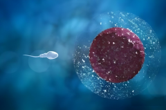 厦门那些医院做三代试管可以包生'男'孩？推荐靠谱的！