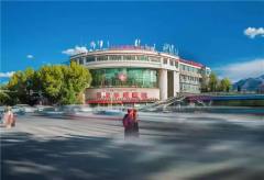 西藏拉萨阜康医院助孕费用公布，患者告诉你花了多少钱