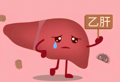 一分钟读懂：乙肝能做试管吗？