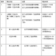 宝宝长牙顺序打乱了，这是正常现象吗？详解宝宝长牙过程及可能遇到的顺序变化