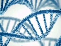 影响兰州三代试管价格的，其实就这几点