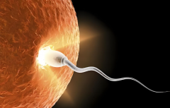 泰国试管全流程解析：内附泰国试管排名前五医院名单！