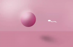 福州三代试管费用全解析，附带实用攻略与便捷支付方式