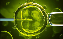 第三代试管费用全解读，所有明细一次看明白！