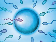 江西三代试管费用明细及省钱妙招全览，一看就懂！