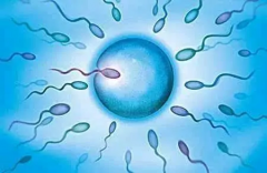 2025泰国试管私立机构最新排名榜单来啦！想知道哪些私立机构最受欢迎