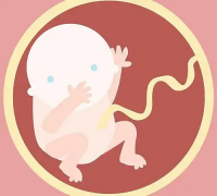 泰国三代试管费用全解析，价目表一目了然！让你明明白白消费，不花