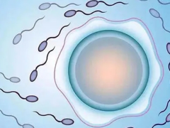 泰国三代试管费用全解析！从各步骤到明细，一次性给你讲清楚！