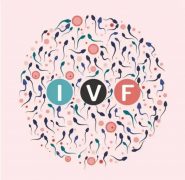 贵阳三代试管费用明细大公开！看完这篇文章，你心里就有数了！