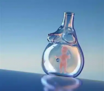 13细胞胚胎的发育状况究竟如何呢？详细解析其质量与潜力