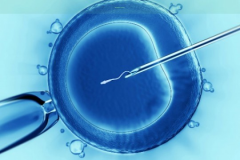 泰国试管机构哪家更胜一筹？权威排名榜单大公开，助您精准挑选理想