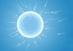 泰国三代试管医院大盘点！精选8家优质机构，专业可靠任您挑选，为您