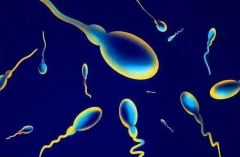 泰国试管医院排名大公开！精心挑选最适合您的生育医院，为您的求子