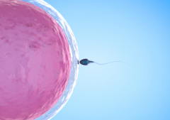 大数据分析：这些泰国试管医院是真厉害！