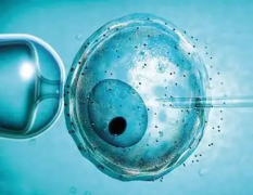 揭秘泰国三代试管费用，哪些因素影响花钱多少？