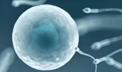 去柬埔寨做三代试管费用究竟是高是低?与海外国家相比如何?