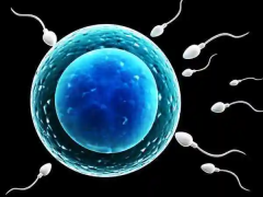 泰国三代试管医院全攻略：详尽目录与深度解析，助您轻松锁定理想之