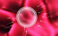 泰国试管之旅：如何慧眼挑选正规中介？这些关键点你必须掌握！