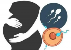 泰国三代试管费用全攻略：超详细明细一览，必读指南助您轻松规划