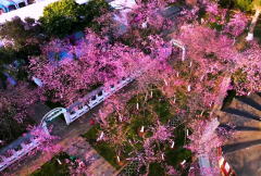 盘点昆明名气大的试管医院，五大医院值得选择