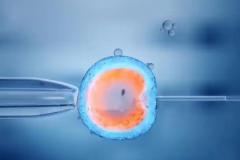 三代试管操作流程详解，建议都来读一读！