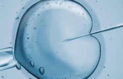 备孕指南：试管流程环节详解