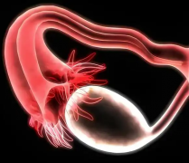 泰国三代试管医院哪家强？高成功率医院推荐，助你轻松好“孕”！