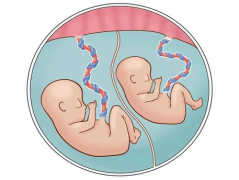 泰国三代试管费用明细大公开，让您清清楚楚算好预算，无忧迎接新生