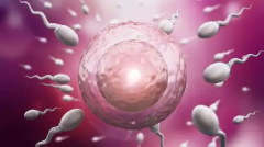 泰国第三代试管费用全解析，让您对每项服务细节了如指掌，轻松规划