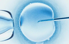 泰国第三代试管费用揭秘：全面剖析，让您明明白白消费！