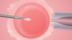 青岛试管医院排行前十名发布，2024年怀孕机构费用清单参考！