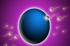 泰国三代试管医院资质全揭秘：权威解读，帮您识破陷阱，安心选择正