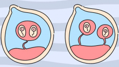 泰国三代试管专家团队大揭秘！热门医院专家阵容强势来袭，为您的生