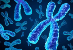 泰国三代试管必读：想省钱看这里