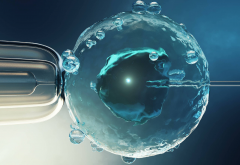 俄罗斯试管医院TOP5推荐：费用、成功率与服务口碑全解析！