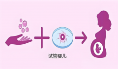 太原地区进行第三代试管全过程需要多少费用？听听亲身经历者的详细