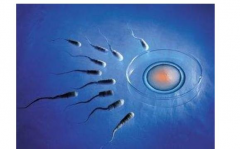 去泰国做试管，全程费用明细大公开！三分钟带您快速了解试管流程与