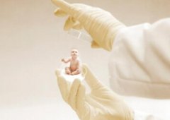 女性不排卵与试管：着床影响到底有多大？专家解读