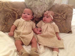 2025年试管生龙凤胎费用一站式指南：所有费用项详细说明